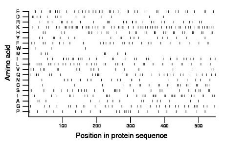 amino acid map