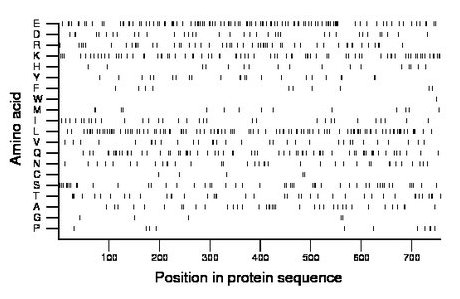 amino acid map