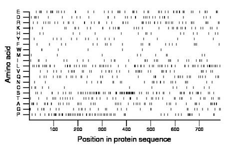 amino acid map