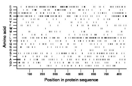 amino acid map