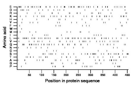 amino acid map