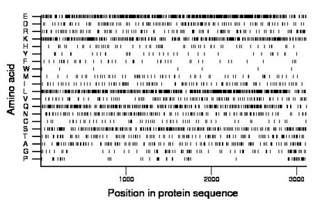 amino acid map