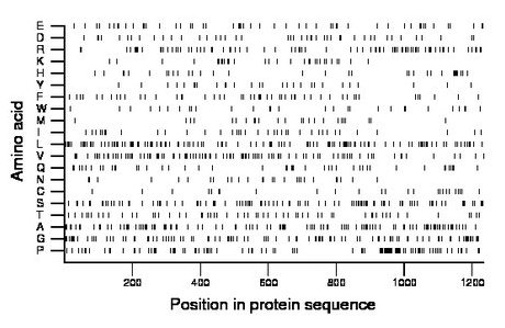 amino acid map