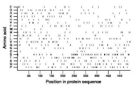 amino acid map