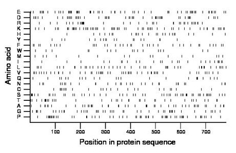 amino acid map