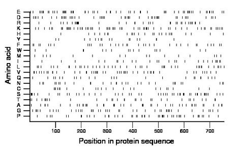 amino acid map