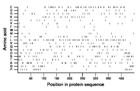 amino acid map