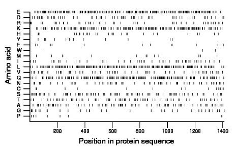 amino acid map