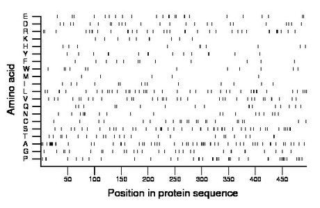 amino acid map