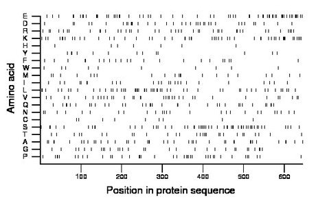 amino acid map