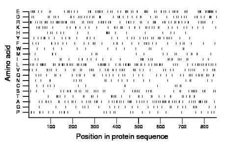 amino acid map