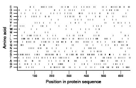 amino acid map