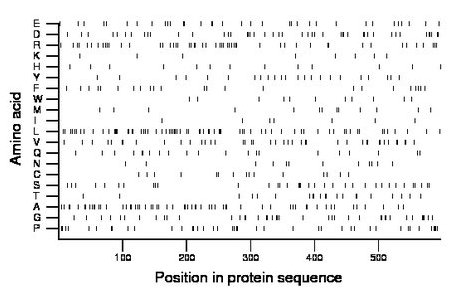 amino acid map