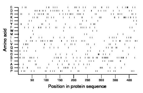 amino acid map