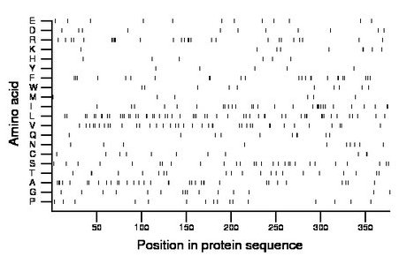 amino acid map