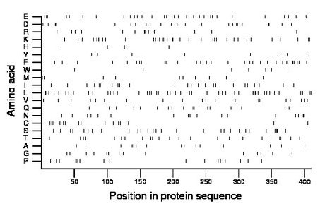 amino acid map