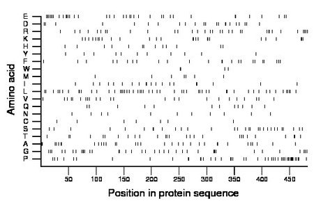 amino acid map