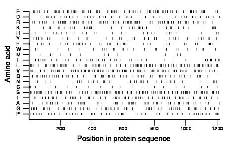 amino acid map