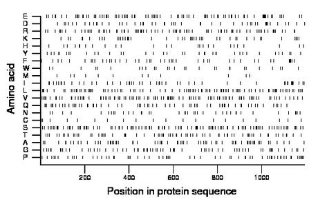 amino acid map