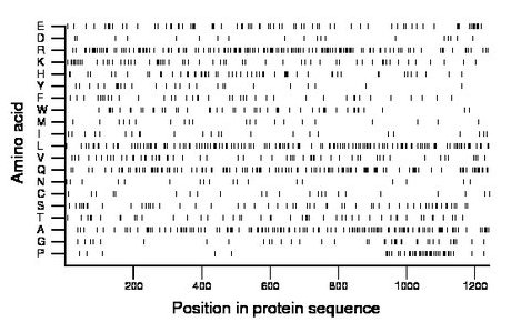 amino acid map