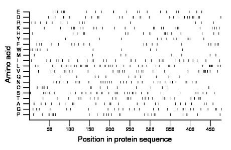 amino acid map