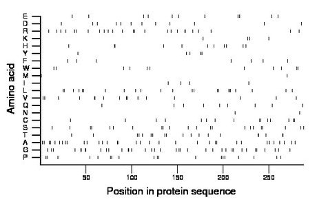 amino acid map