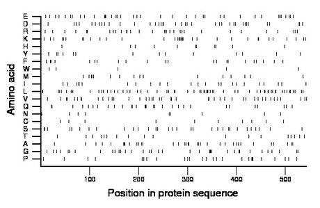 amino acid map