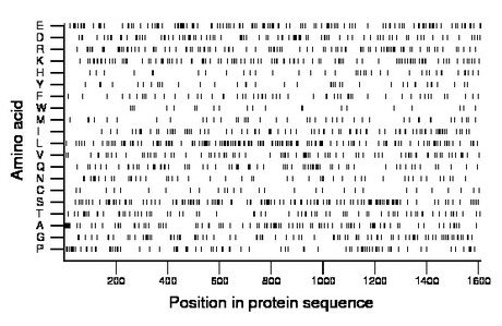 amino acid map