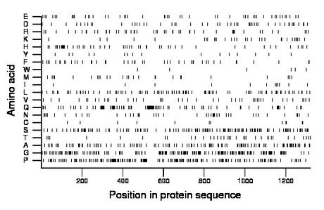 amino acid map