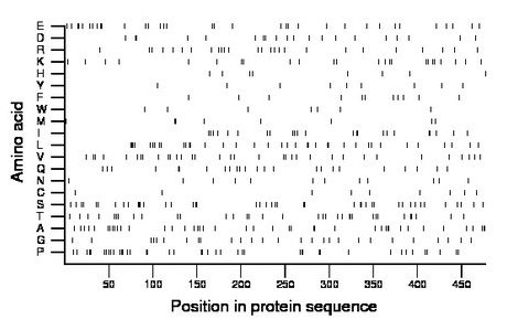 amino acid map