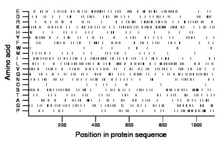 amino acid map