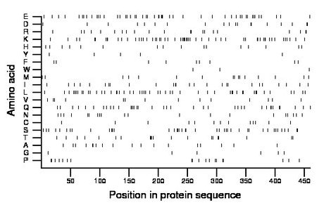 amino acid map