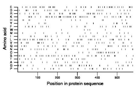 amino acid map