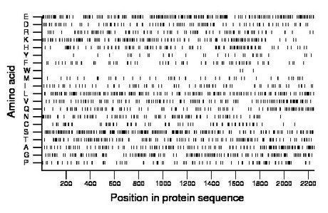 amino acid map