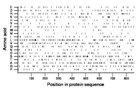 amino acid map