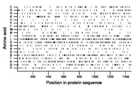 amino acid map