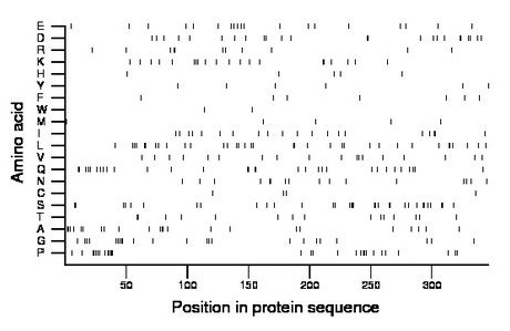 amino acid map