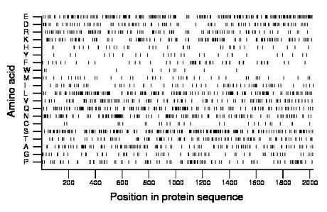 amino acid map