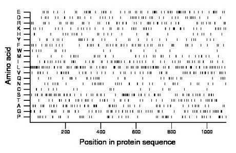 amino acid map