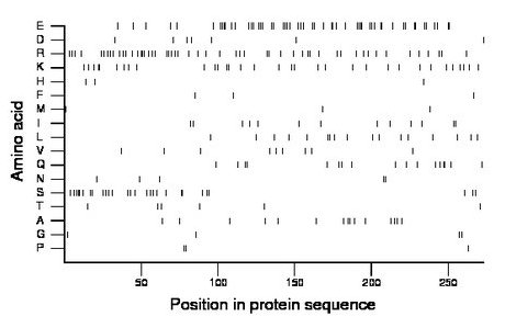 amino acid map