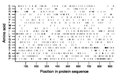 amino acid map