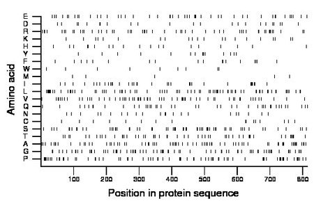 amino acid map