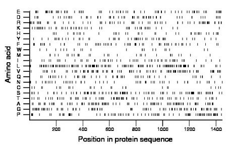 amino acid map