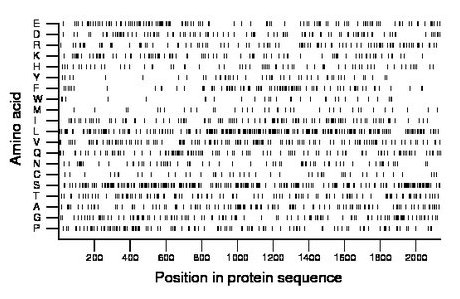 amino acid map