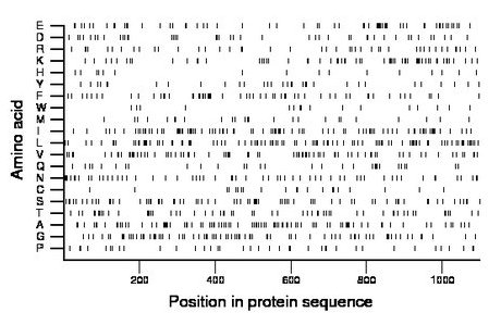 amino acid map