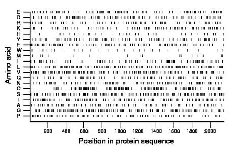 amino acid map