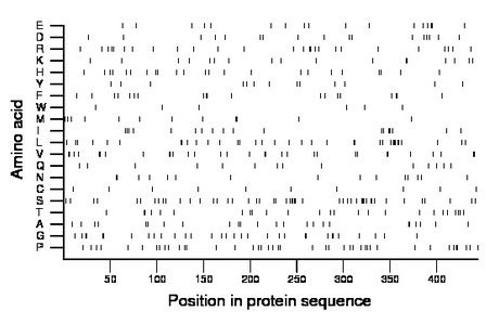 amino acid map