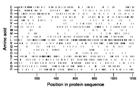 amino acid map