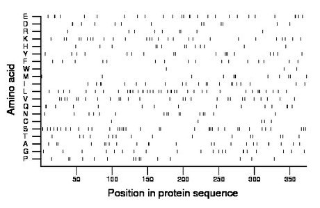 amino acid map