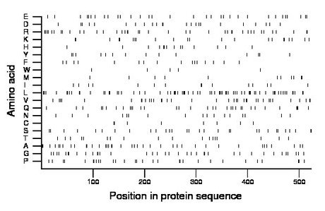 amino acid map